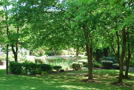 MyWay Klink Privatklinik Ausblick Standort Rasen Bäume Natur