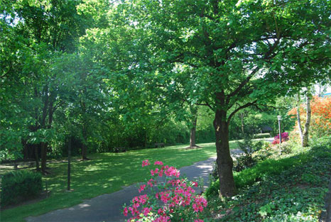 MyWay Klink Privatklinik Ausblick Standort Weg Bäume Blumen Natur